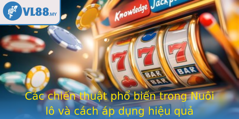 Cac Chien Thuat Pho Bien Trong Strongnuoi Lostrong Va Cach Ap Dung Hieu Qua